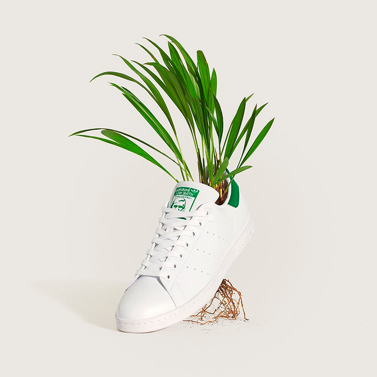 Sneakers sostenibili bianche e verdi in punta da cui fuoriesce dell’erba